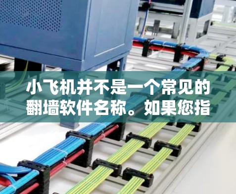 小飞机并不是一个常见的翻墙软件名称。如果您指的是某个特定的翻墙软件，请提供更多信息或确认软件名称，以便我能为您提供准确的指导