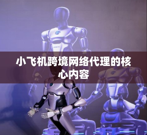 小飞机跨境网络代理的核心内容 小飞机跨境网络代理的核心内容