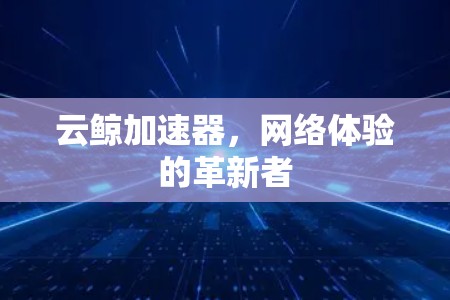 云鲸加速器,网络体验的革新者 云鲸加速器,网络体验的革新者