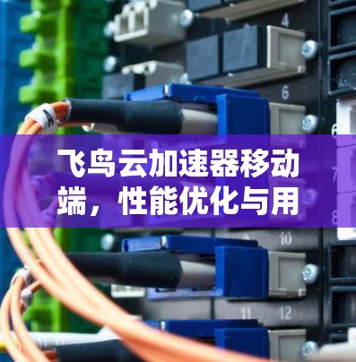 飞鸟云加速器移动端，性能优化与用户体验提升