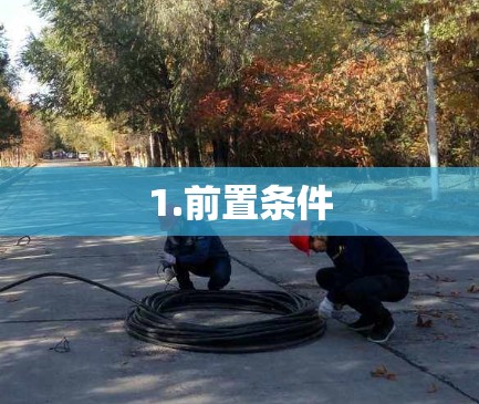 1.前置条件 1.前置条件
