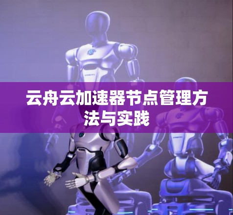 云舟云加速器节点管理方法与实践 云舟云加速器节点管理方法与实践
