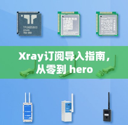 Xray订阅导入指南，从零到 hero