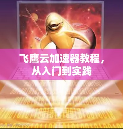 飞鹰云加速器教程，从入门到实践