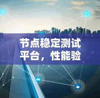 节点稳定测试平台，性能验证与可靠性评估