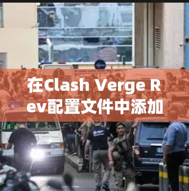 在Clash Verge Rev配置文件中添加