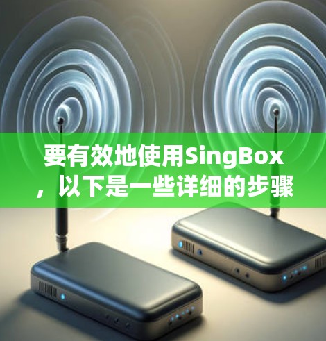 要有效地使用SingBox，以下是一些详细的步骤和建议