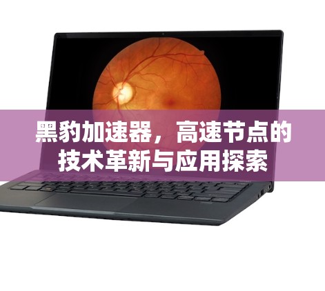 黑豹加速器,高速节点的技术革新与应用探索 黑豹加速器,高速节点的技术革新与应用探索