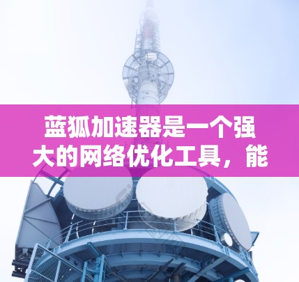 蓝狐加速器是一个强大的网络优化工具，能够帮助您提升网络性能。为了实现蓝狐加速器的外网访问，以下是详细的步骤指南