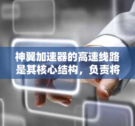 神翼加速器的高速线路是其核心结构，负责将粒子加速并引导至目标区域。以下是对其构成和工作原理的详细分析