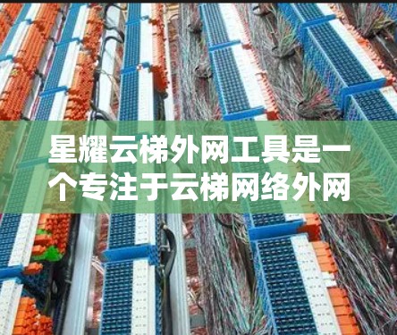 星耀云梯外网工具是一个专注于云梯网络外网管理的综合解决方案，旨在帮助用户高效、安全地管理和监控外网环境。以下是该工具的详细分析和使用指南