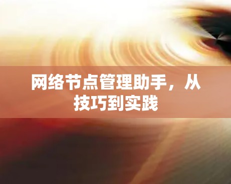 网络节点管理助手，从技巧到实践