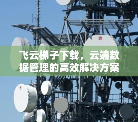 飞云梯子下载,云端数据管理的高效解决方案 飞云梯子下载,云端数据管理的高效解决方案