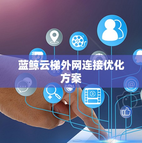 蓝鲸云梯外网连接优化方案 蓝鲸云梯外网连接优化方案