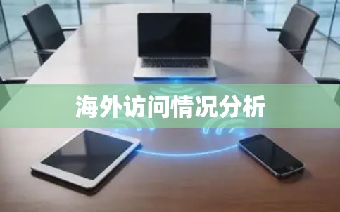 海外访问情况分析 海外访问情况分析
