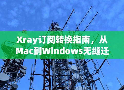 Xray订阅转换指南，从Mac到Windows无缝迁移