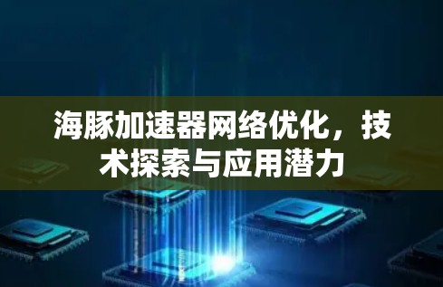 海豚加速器网络优化，技术探索与应用潜力