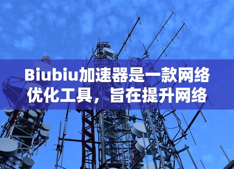 Biubiu加速器是一款网络优化工具，旨在提升网络浏览和下载速度。如果你遇到了下载困难，可以尝试以下方法