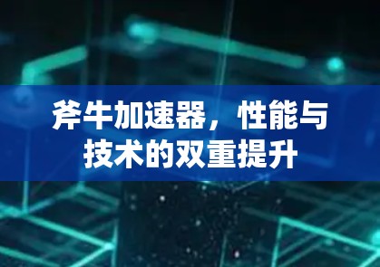 斧牛加速器,性能与技术的双重提升 斧牛加速器,性能与技术的双重提升