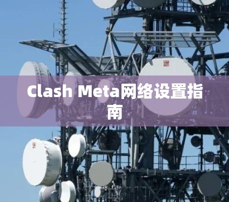 Clash Meta网络设置指南 Clash Meta网络设置指南