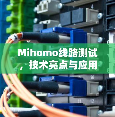 Mihomo线路测试，技术亮点与应用探析