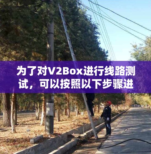 为了对V2Box进行线路测试,可以按照以下步骤进行 为了对V2Box进行线路测试,可以按照以下步骤进行