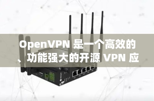 OpenVPN 是一个高效的、功能强大的开源 VPN 应用程序，支持跨平台安装，包括Windows、Mac和Linux。以下是 OpenVPN 电脑版的下载和安装指南