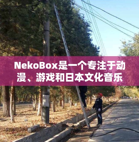 NekoBox是一个专注于动漫、游戏和日本文化音乐的多功能音乐播放器,适合对这些类型的音乐感兴趣的用户。以下是对NekoBox的详细指南,帮助您顺利安装、使用和配置 NekoBox是一个专注于动漫、游戏和日本文化音乐的多功能音乐播放器,适合对这些类型的音乐感兴趣的用户。以下是对NekoBox的详细指南,帮助您顺利安装、使用和配置