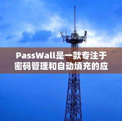 PassWall是一款专注于密码管理和自动填充的应用，帮助用户更高效地管理账号信息，减少手动输入的麻烦。以下是使用PassWall的详细步骤