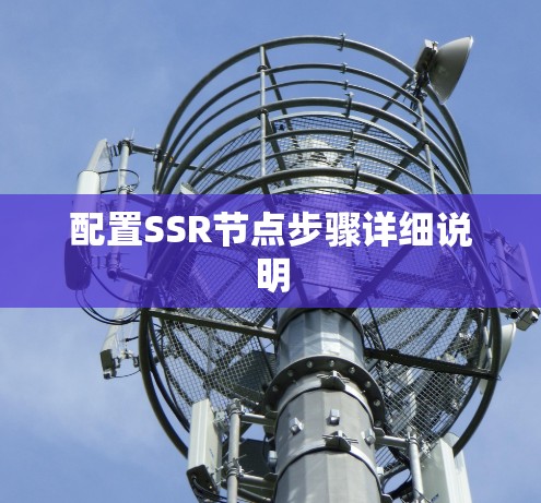 配置SSR节点步骤详细说明 配置SSR节点步骤详细说明