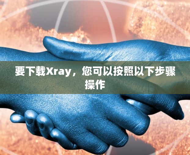 要下载Xray,您可以按照以下步骤操作 要下载Xray,您可以按照以下步骤操作