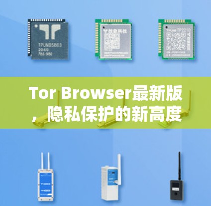 Tor Browser最新版，隐私保护的新高度