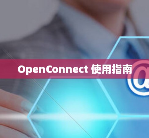 OpenConnect 使用指南 OpenConnect 使用指南