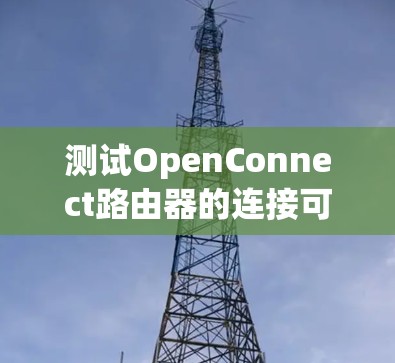 测试OpenConnect路由器的连接可分为以下步骤 测试OpenConnect路由器的连接可分为以下步骤