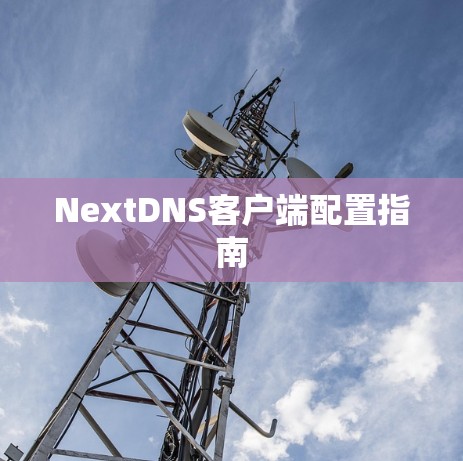 NextDNS客户端配置指南
