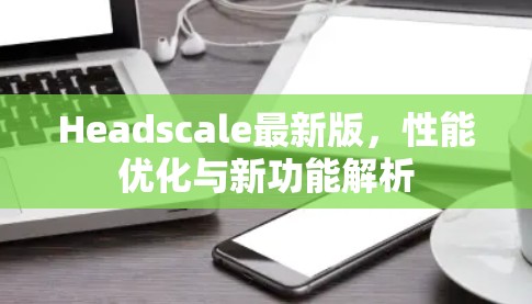 Headscale最新版，性能优化与新功能解析