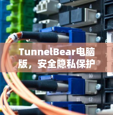 TunnelBear电脑版,安全隐私保护的高效网络解决方案 TunnelBear电脑版,安全隐私保护的高效网络解决方案
