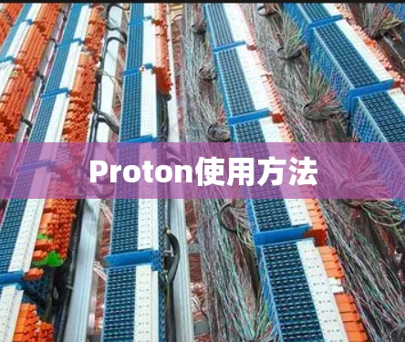 Proton使用方法 Proton使用方法
