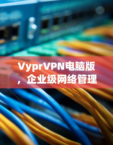 VyprVPN电脑版，企业级网络管理与安全解决方案