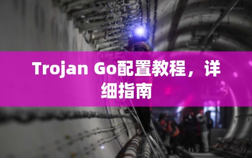 Trojan Go配置教程，详细指南