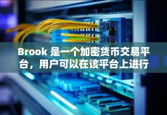 Brook 是一个加密货币交易平台，用户可以在该平台上进行比特币和其他加密货币的交易、托管、借贷和投资。以下是一些关于 Brook 客户端的详细信息