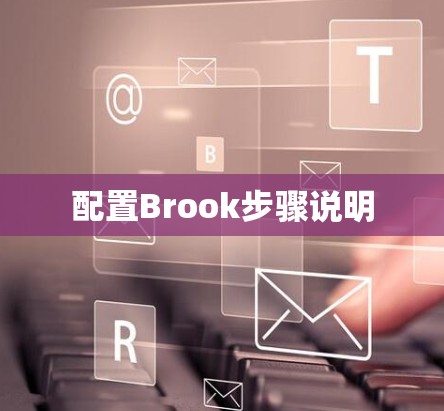 配置Brook步骤说明 配置Brook步骤说明