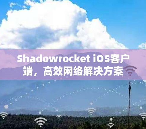 Shadowrocket iOS客户端,高效网络解决方案 Shadowrocket iOS客户端,高效网络解决方案