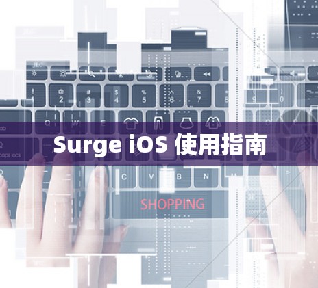 Surge iOS 使用指南 Surge iOS 使用指南