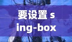 要设置 sing-box 服务器,首先需要确保环境准备好的。以下是详细的步骤说明 要设置 sing-box 服务器,首先需要确保环境准备好的。以下是详细的步骤说明