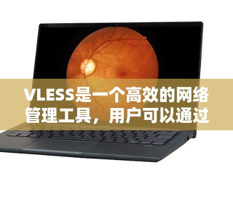 VLESS是一个高效的网络管理工具，用户可以通过它设置各种规则来管理网络访问、限制某些网站的访问、控制上网时间等。以下是一些常见的VLESS规则设置方法和示例，帮助你更好地管理网络