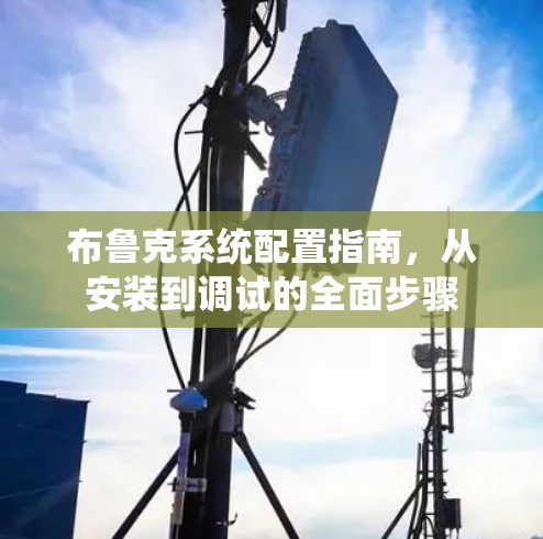 布鲁克系统配置指南，从安装到调试的全面步骤