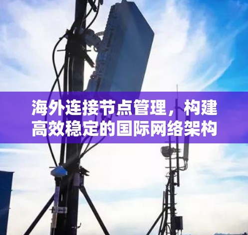 海外连接节点管理，构建高效稳定的国际网络架构