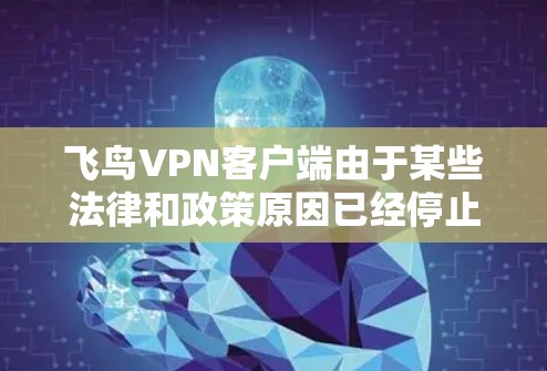 飞鸟VPN客户端由于某些法律和政策原因已经停止服务，无法再提供服务了。如果你需要使用VPN，以下是一些替代方案，供你选择