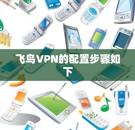 飞鸟VPN的配置步骤如下